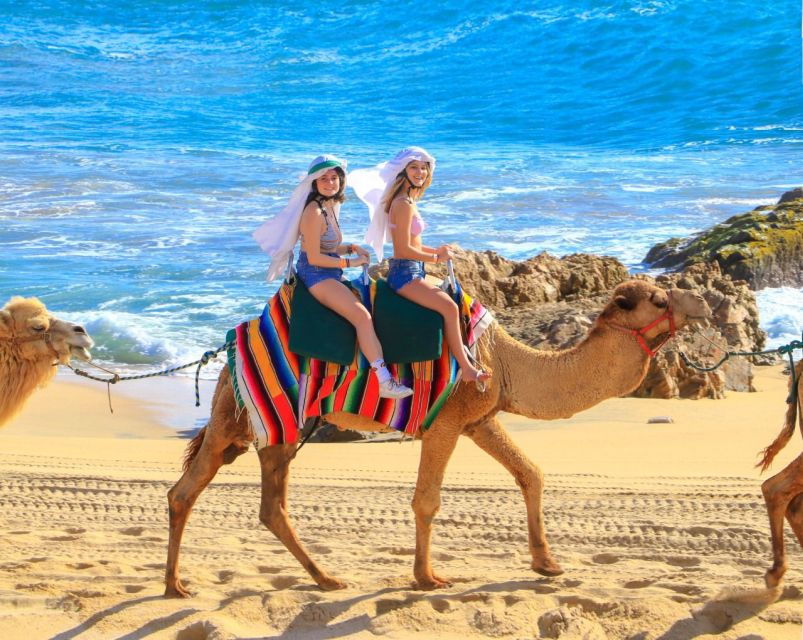 Cabo San Lucas: Combo Camel Ride & Off-Road UTV Adventure