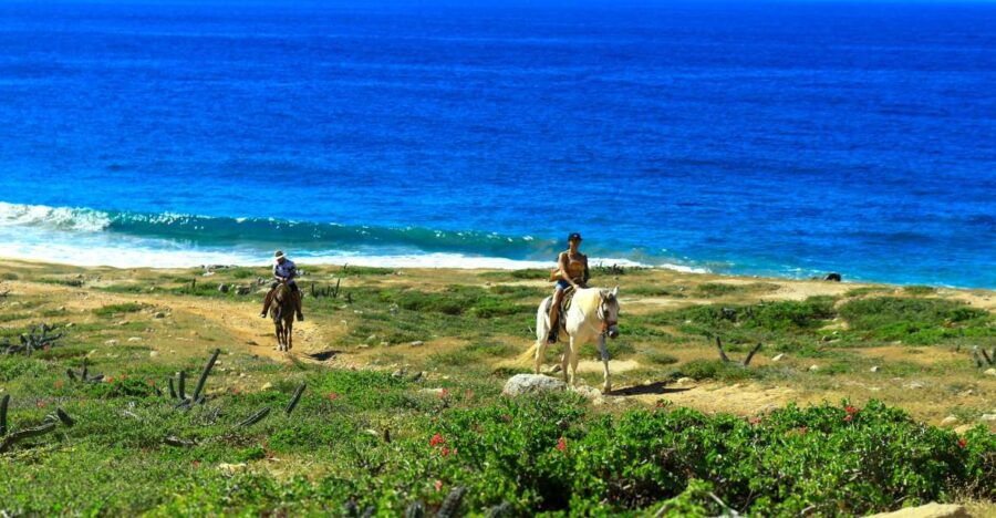 Cabo San Lucas: Horseback Riding Migriño - Good To Know