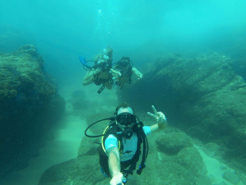 Cabo San Lucas Marine Park Scuba Diving - Good To Know
