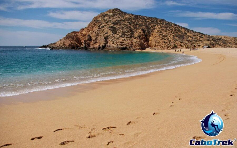 Cabo San Lucas Private Snorkeling Tour
