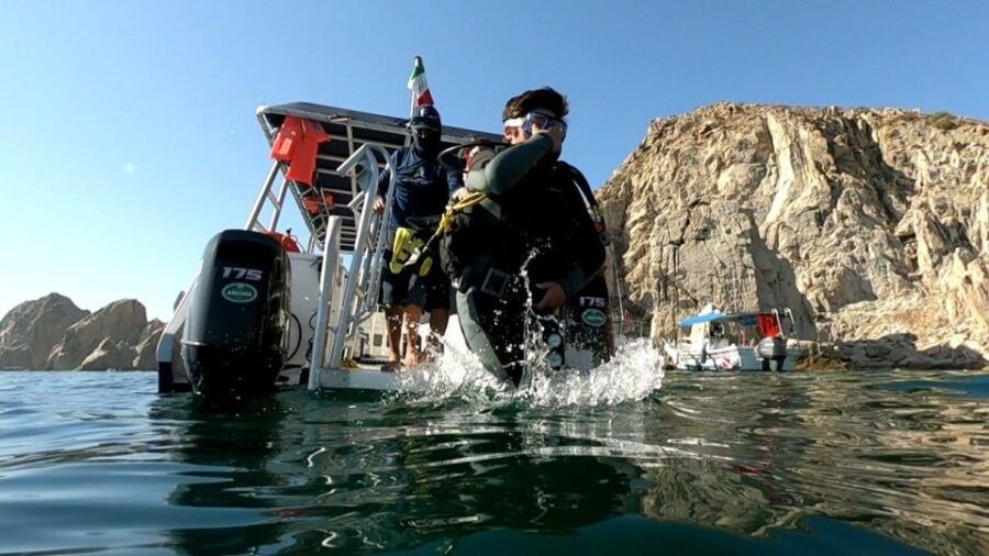 Cabo San Lucas: Scuba Diving at 2 Local Sites in Cabo Bay