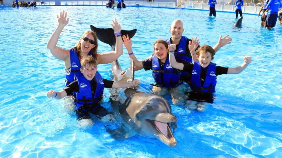 Cabo San Lucas: Swim Excursion With Dolphin Interaction - Good To Know