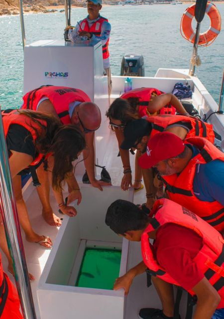 Cabo San Lucas: Tour to the Arch With a Stop at a Private Beach