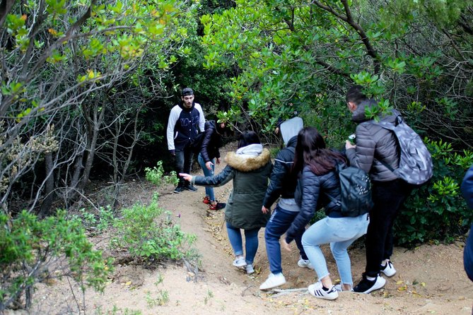 Cagliari: Trekking and Swimming at the Waterfalls From Chia