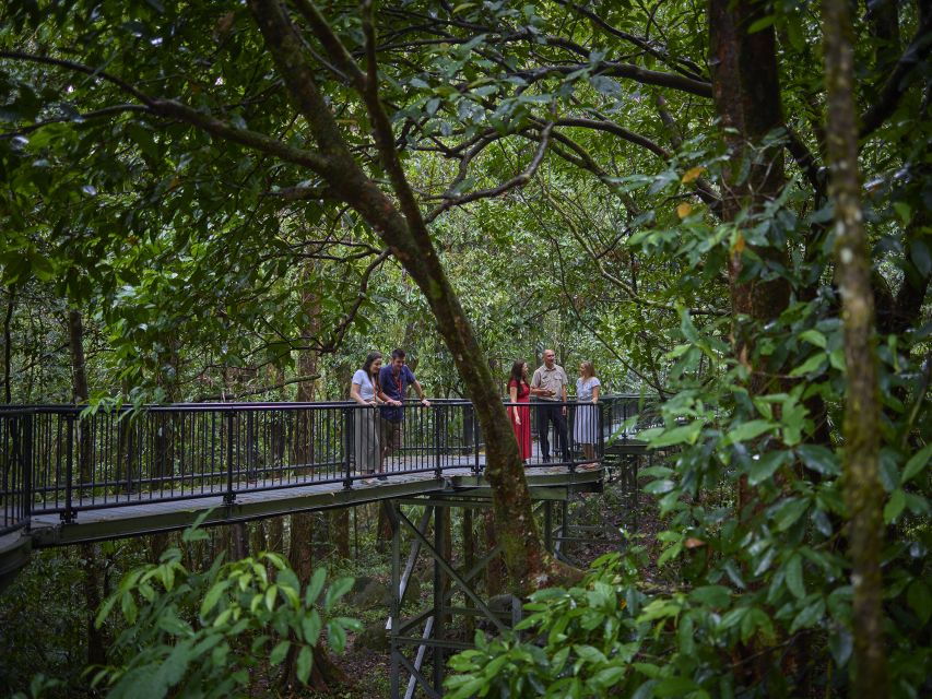 Cairns: Aboriginal Art and Culture Full-Day Trip With Lunch - Good To Know