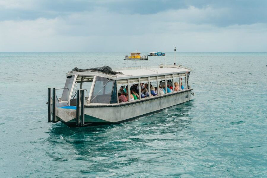 Cairns: Full-Day Glass Bottom Boat or Snorkel Tour