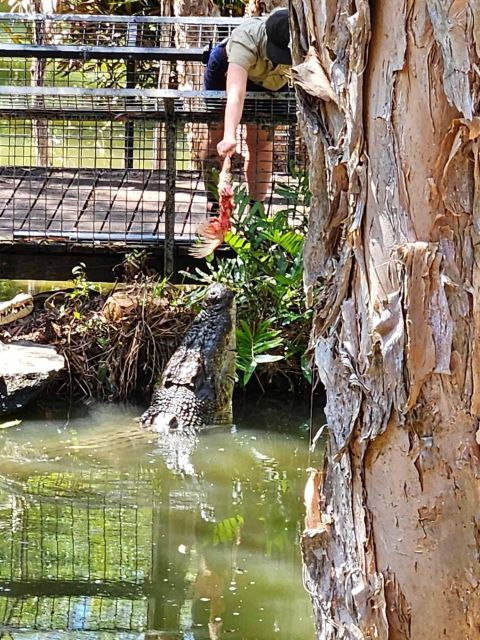 Cairns: Hartley’s Crocodile Adventures Visit With Transfer