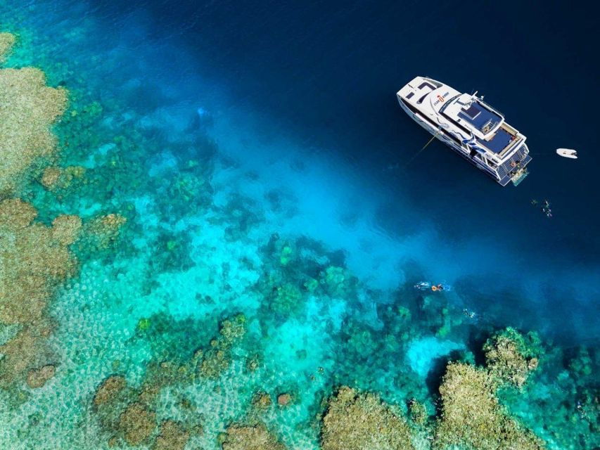 Cairns: Open Water Certified Night Dive - Good To Know
