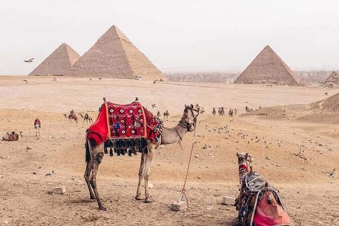 Cairo Best Day Tour To Giza Pyramids & Islamic Cairo in Cairo - Layover Tours - Good To Know