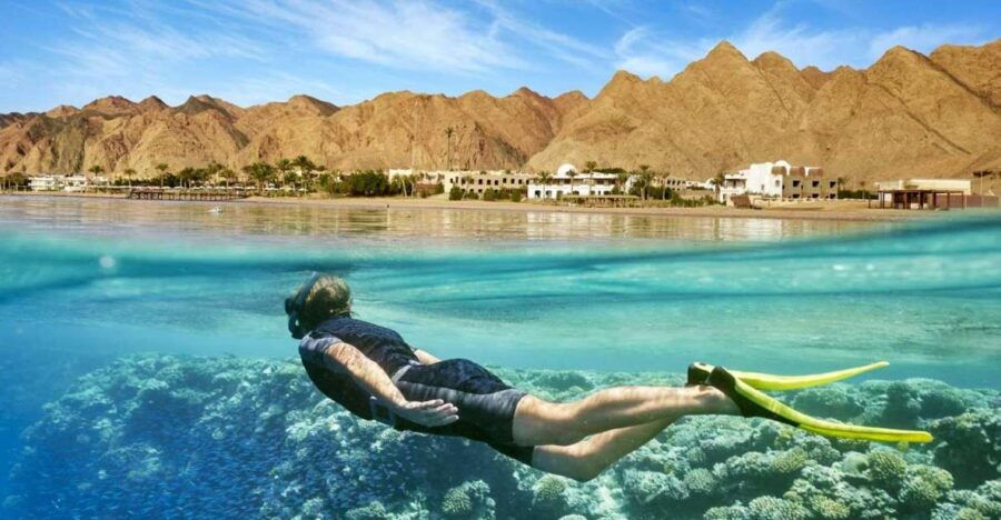 Cairo: Day Tour to the Red Sea With Lunch - Good To Know