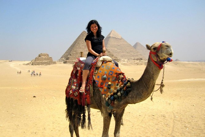 Cairo Layover Tours To Giza Pyramids Egyptian Museum Bazaar Sound And Light Show - Good To Know