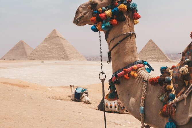 8 Best Guided Tours In Alexandria