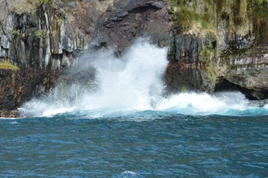Calheta: Whale & Dolphin Watching Small Groups Designer Tour