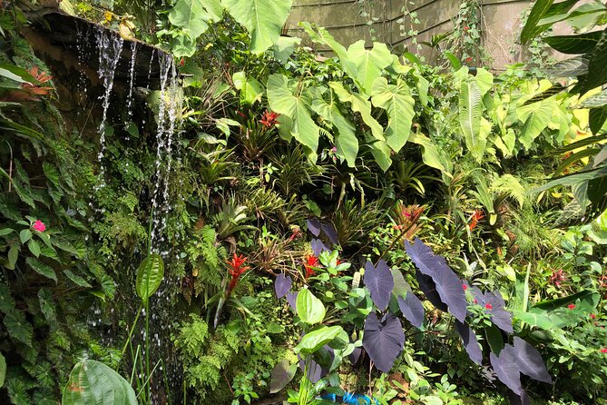Cali Butterly Park Private Tour (Feb )