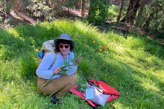 California Botanic Garden Half Day Tour