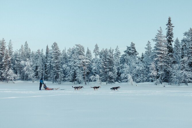 Call of the Wild Morning 90 Minute Self Driven Husky Safari - Tour Details