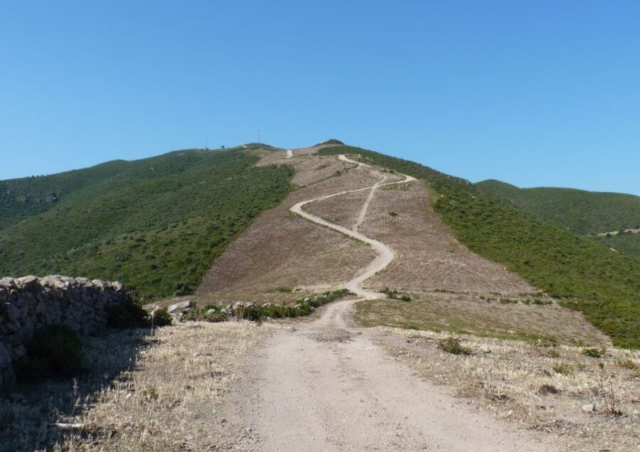 Calvi: Asco Valley 4×4 Day Tour With Guide