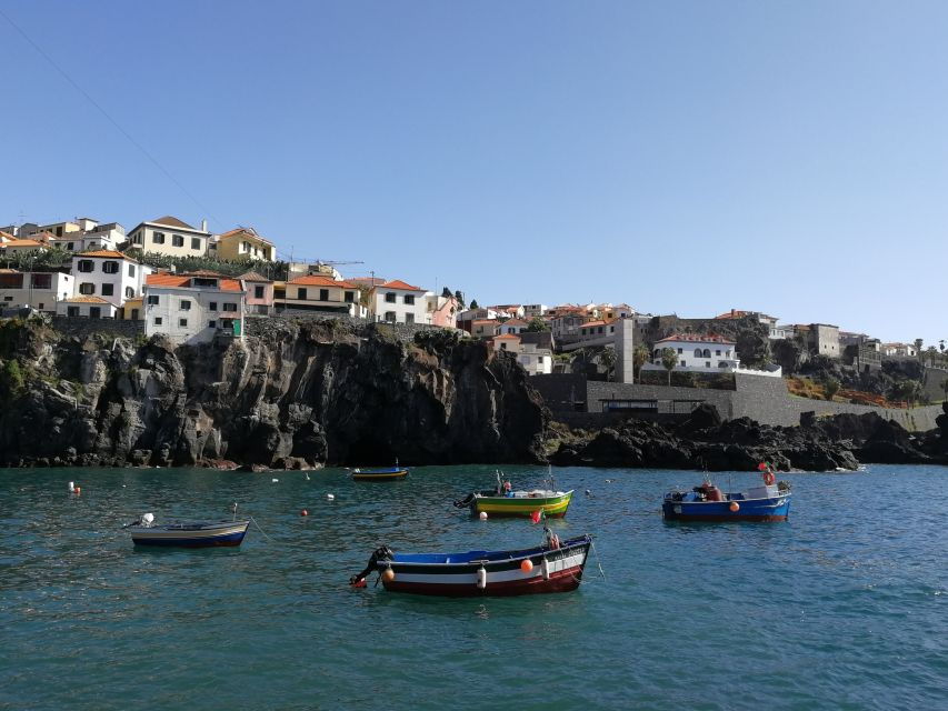 Camara De Lobos: 1.5-Hour Tour in a Tuk Tuk
