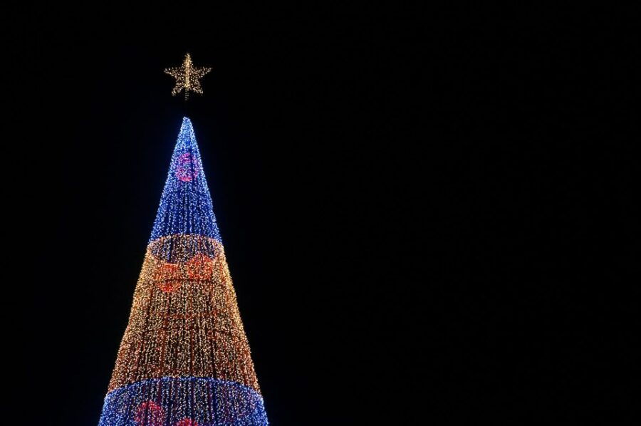 Camara De Lobos and Funchal Christmas Lights Tour