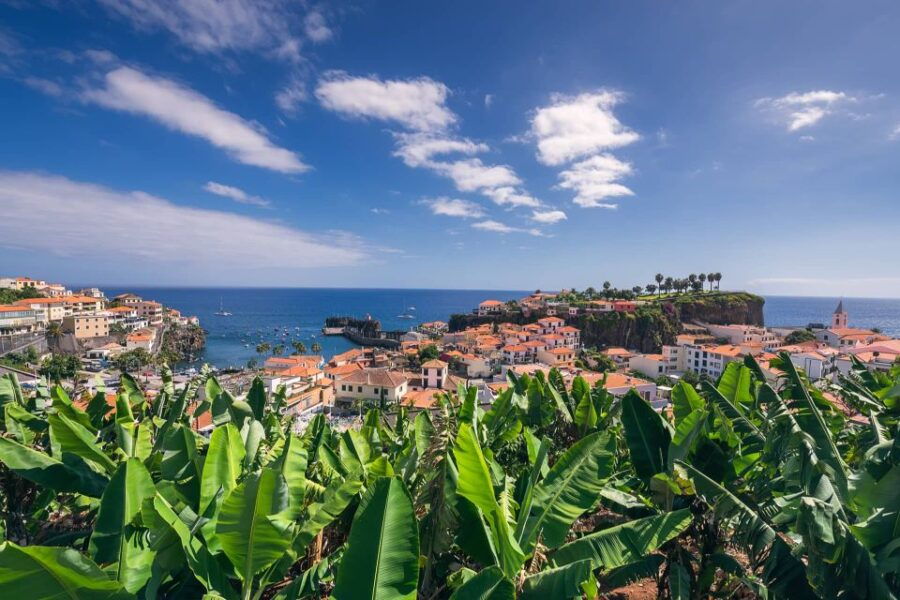 Câmara De Lobos: Private Fishing Village Tour by Tuk-Tuk - Good To Know