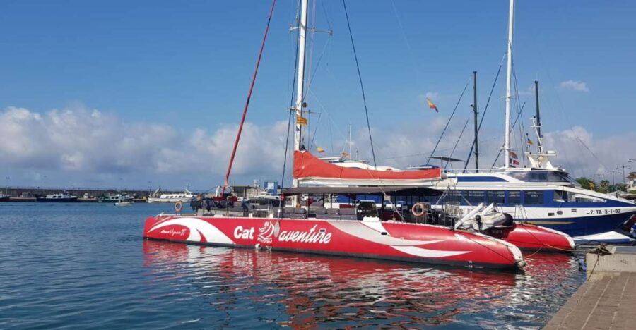 Cambrils/Salou: Coastline Catamaran 3h With Drinks,Snacks - Good To Know