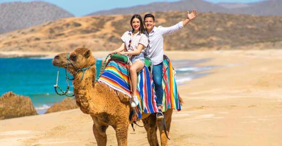 Camel Ride Beach and Desert Adventure.