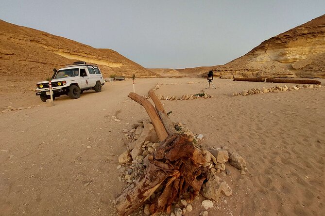 Camel Ride, Bedouin Dinner & Stargazing in 4X4 Jeep Safari in Hurghada - Good To Know