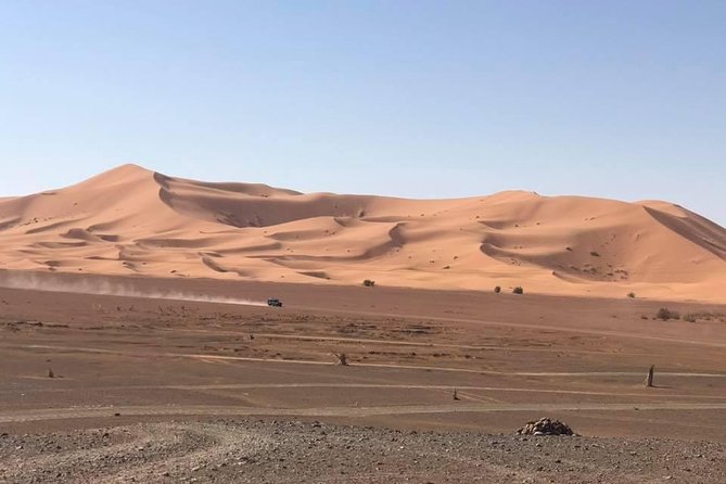 Camel Ride Experience