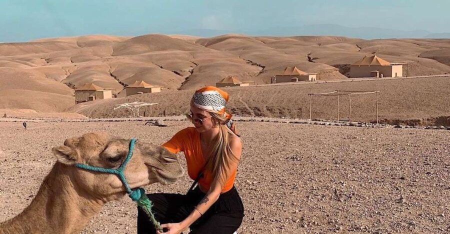 Camel Ride in Agafay Desert at Sunset
