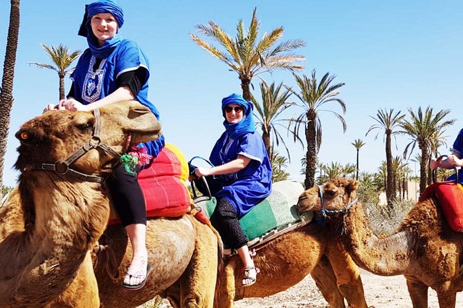 Camel Ride in Marrakech Palmerie - Benefits of a Camel Ride