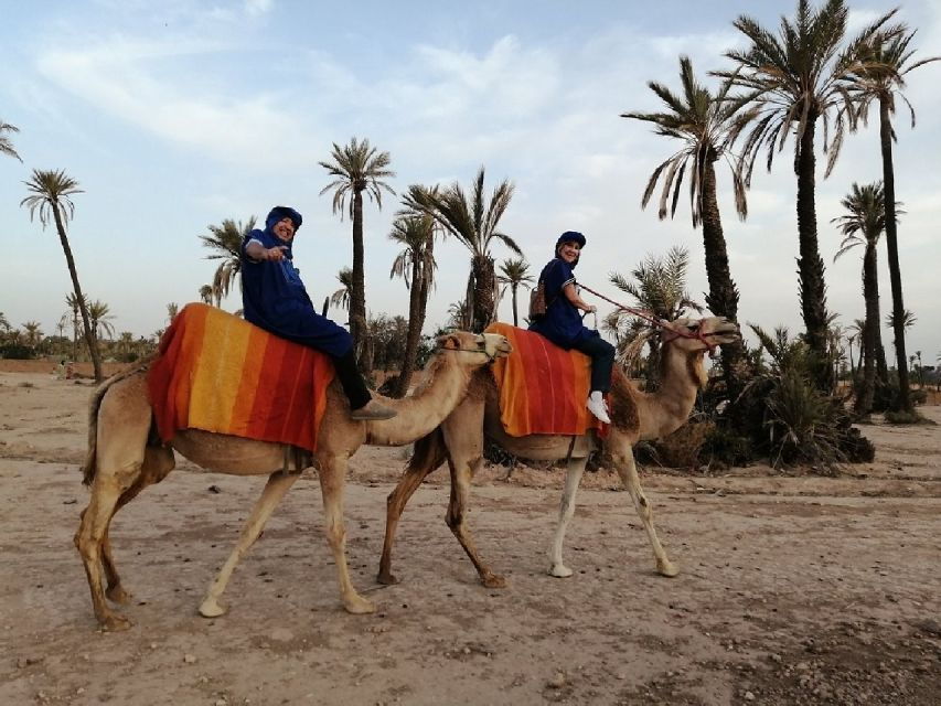 Camel Ride In Palmeraie 1 Hour, With Tea