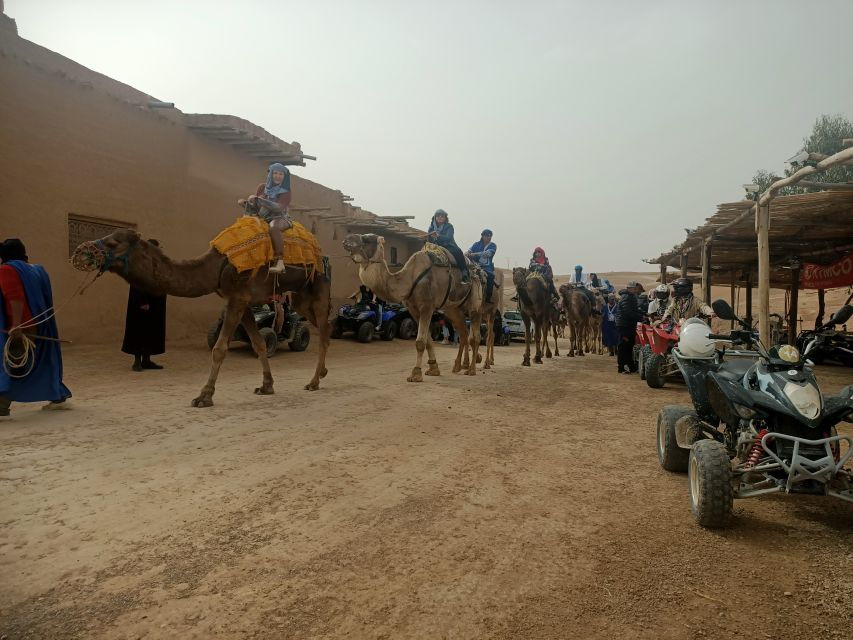 Camel Ride & Quad Tour In Agafay Desert With Lunch - Good To Know