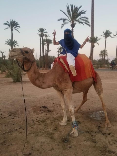 Camel Ride Tour in Palmerie of Marrakech