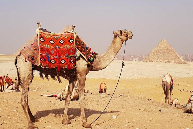 Camel Ride Trip Around Giza Pyramids During Sunrise Or Sunset - Good To Know