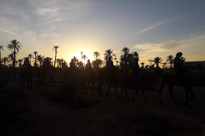 Camel Riding in Marrakech - Overview and Experience