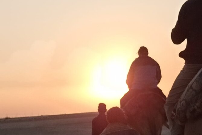 Camel Riding Tour in Luxor West Bank - Good To Know
