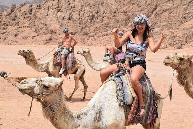Camel Riding Tour in Sharm El Sheikh Desert - Good To Know