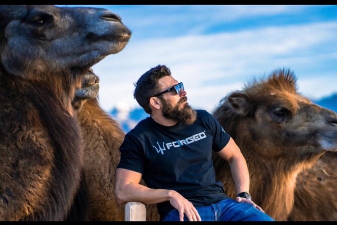Camel Safari – VIP Sunset Safari