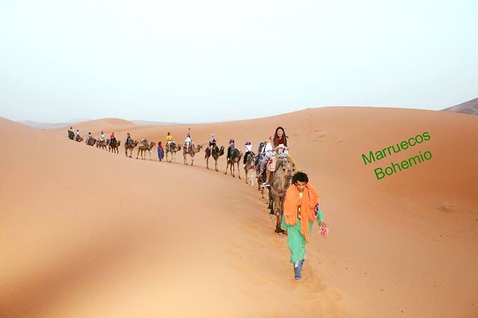 Camel Trekking in Desert Merzouga for 1Night In Merzouga - Good To Know