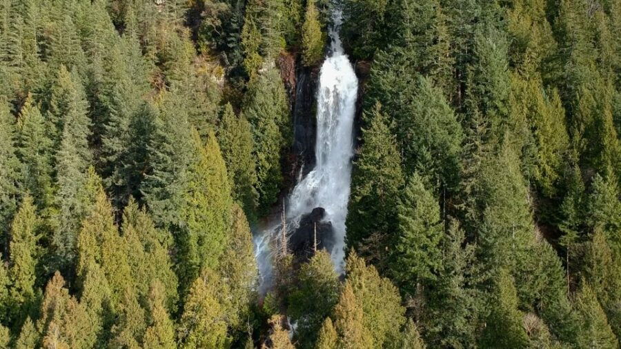Campbell River: Waterfall and Wildlife Guided Boat Tour
