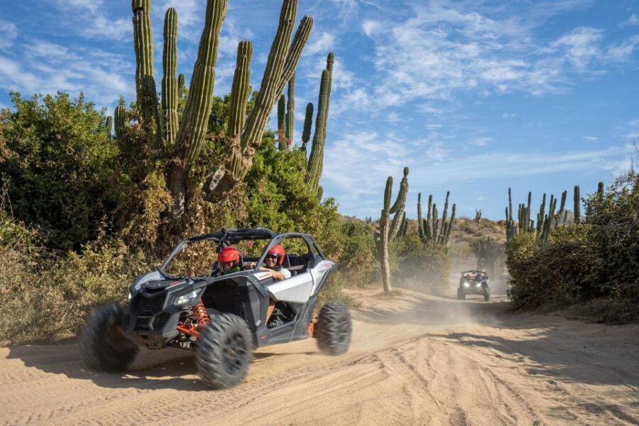Can-Am X3 Turbo Adventure: Cabo Desert Trails & Beach Ride - Good To Know