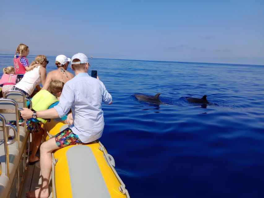 Can Picafort: Dolphin Watching Boat Tour With Swimming - Good To Know