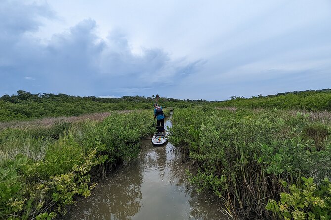 Canaveral National Seashore Wildlife Excursion