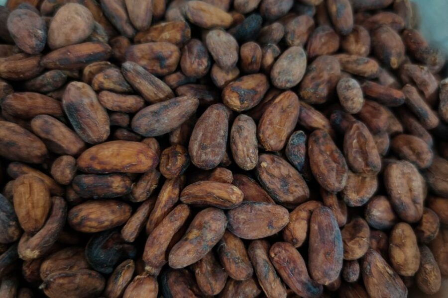 Cancún: Chocolate Making Class and Tasting With Chef - Good To Know