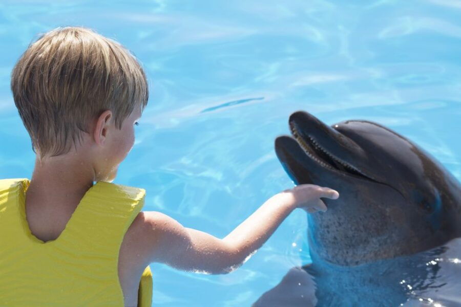 Cancun: Dolphin, ATV, & Zipline Adventure 2-Day Combo Tour - Good To Know