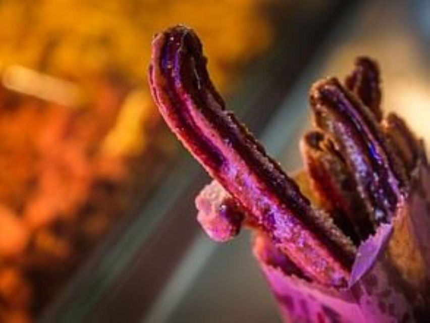 Cancun: Flavors of Mexico, Taco and Beer Tasting Tour - Good To Know