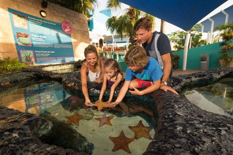 Cancún: Interactive Aquarium Entrance Ticket - Ticket Details