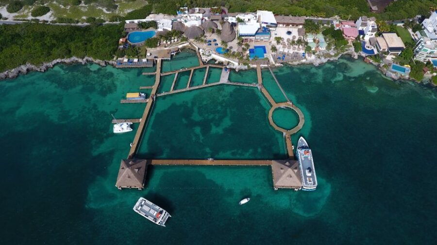 Cancún: Isla Mujeres Catamaran Tour & Swim With Dolphins - Good To Know