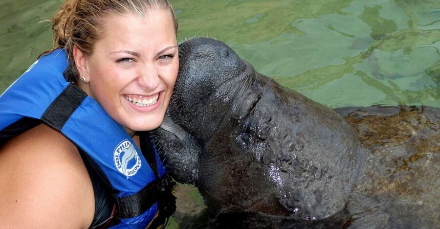 Cancún: Isla Mujeres Sea Life Encounter Program With Buffet