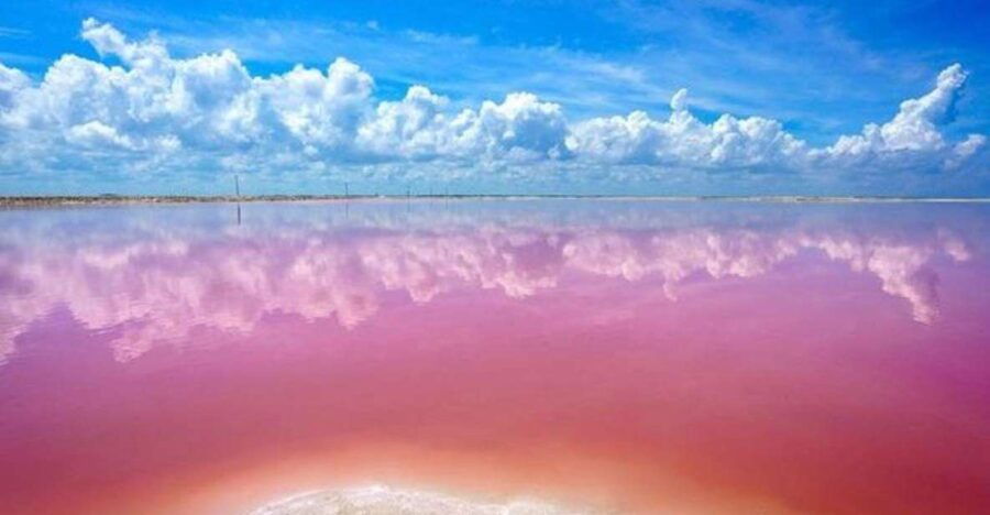 Cancun: Las Coloradas and Río Lagartos Private Tour - Good To Know